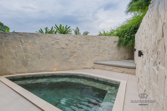 Image 20 from Villa 1 Kamar baru Dijual Leasehold di Bali Pererenan Sisi Utara
