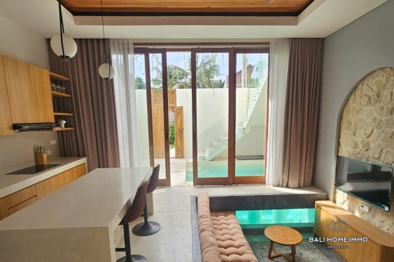 Image 1 from Villa neuve 1 chambre à vendre en bail emphytéotique à Bali Pererenan