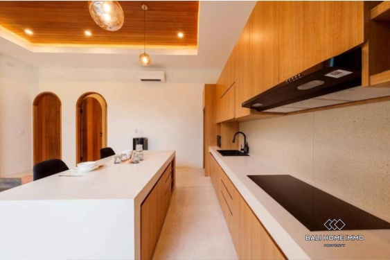 Image 10 from Villa 1 Kamar baru dijual hak sewa di Bali Pererenan