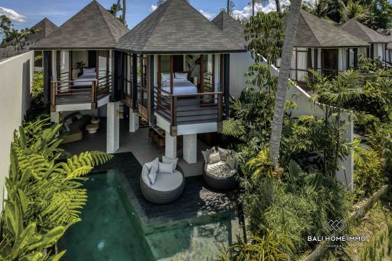 Image 1 from Brand new 1 bedroom villa for sale leasehold in Bali Ubud