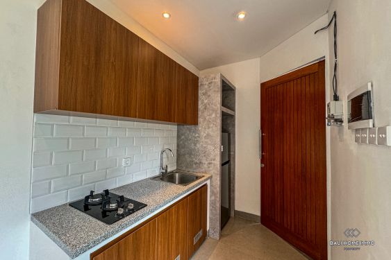 Image 4 from Brand New 1 Bedroom villa for yearly rental in Bali Canggu Berawa