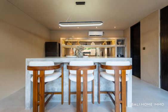 Image 6 from VILLA 1 KAMAR TIDUR BARU UNTUK DIJUAL SEWA DI BINGIN