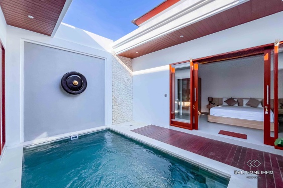 Image 3 from BRAND NEW 1 BEDROOMS VILLA FOR YEARLY RENTAL IN BALI - UNGASAN