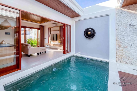 Image 4 from BRAND NEW 1 BEDROOMS VILLA FOR YEARLY RENTAL IN BALI - UNGASAN