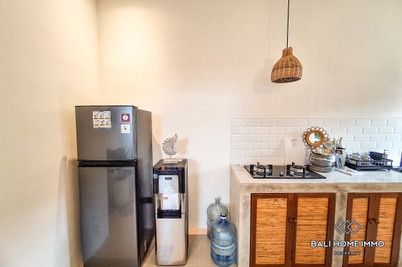 Image 4 from Apartemen Baru 2 Kamar untuk Disewakan di Pererenan Northside