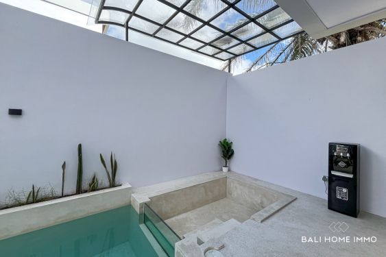 Image 3 from BRAND NEW 2 BEDROOM BEAUTIFUL VILLA FOR SALE AND RENT IN KUTUH NEAR PANDAWA BEACH