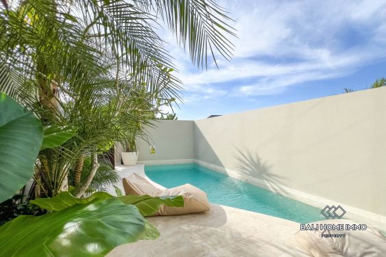 Image 3 from BRAND NEW 2 BEDROOM LOFT FOR SALE LEASEHOLD IN BALI CANGGU