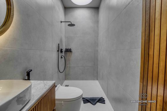 Image 20 from Brand new 2 Bedroom Mediterranean Villa For Sale and rent in Canggu Bali