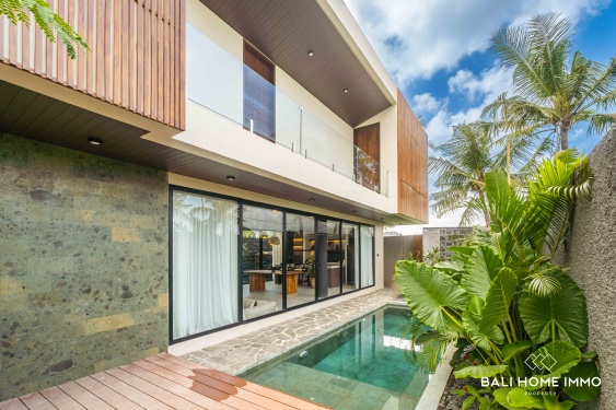 Villa moderne neuve de 2 chambres avec vue sur les rizières en zone verte