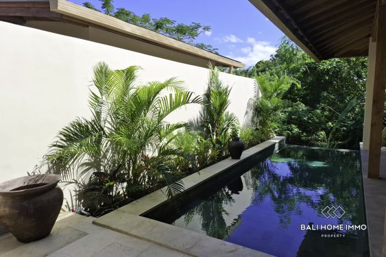 Image 12 from Vila Tropis 2 Kamar Tidur Baru dengan Pemandangan Hutan Dekat Pantai Padang Padang