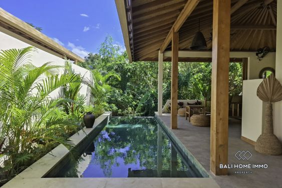 Image 1 from Villa tropicale neuve de 2 chambres avec vue sur la forêt près de la plage de Padang Padang