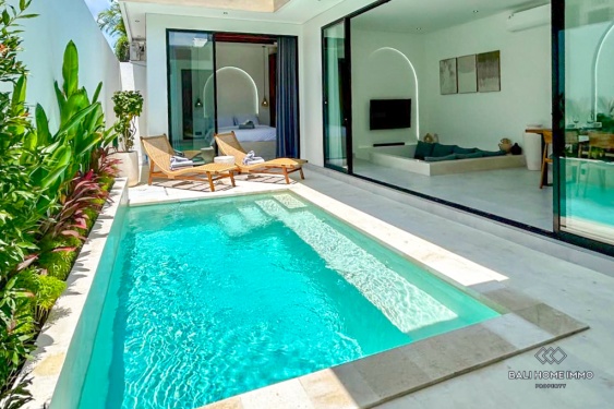 Image 4 from Villa neuve de 2 chambres à louer au mois ou à l'année dans le quartier résidentiel de Canggu