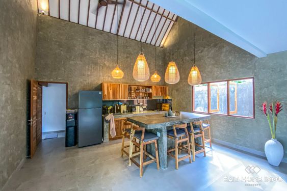 Image 10 from Brand new 2 Bedroom Villa for Sale and Rent in Bali Buduk near Canggu