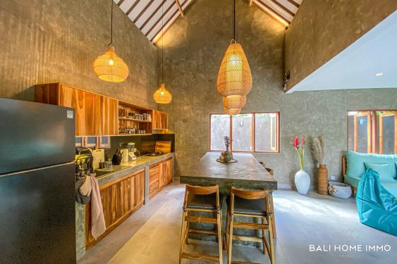 Image 11 from Brand new 2 Bedroom Villa for Sale and Rent in Bali Buduk near Canggu