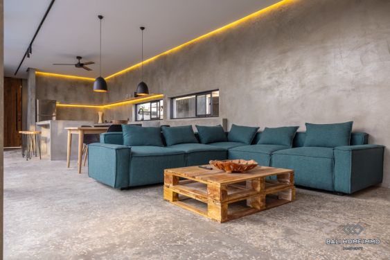 Image 5 from Brand New 2 Bedroom Villa for Sale and Rent in Bali Canggu Residential Side