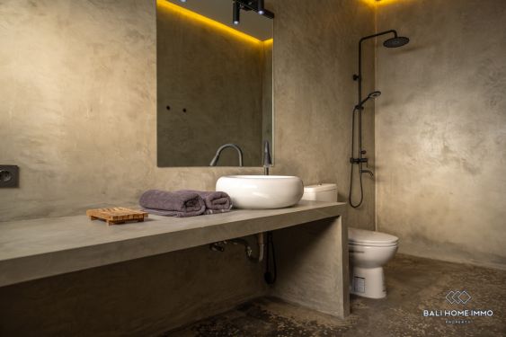 Image 20 from Brand New 2 Bedroom Villa for Sale and Rent in Bali Canggu Residential Side