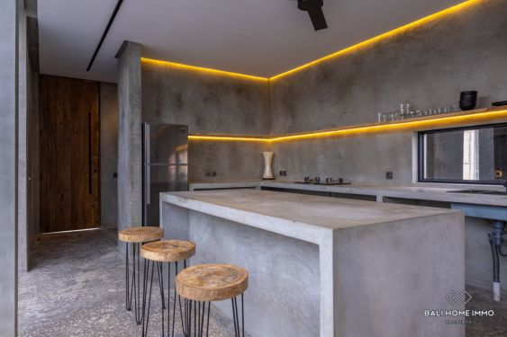 Image 11 from Brand New 2 Bedroom Villa for Sale and Rent in Bali Canggu Residential Side