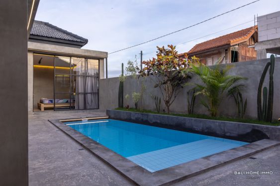 Image 4 from Brand New 2 Bedroom Villa for Sale and Rent in Bali Canggu Residential Side