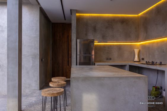 Image 10 from Brand New 2 Bedroom Villa for Sale and Rent in Bali Canggu Residential Side