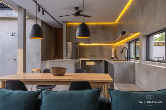 Image 7 from Brand New 2 Bedroom Villa for Sale and Rent in Bali Canggu Residential Side