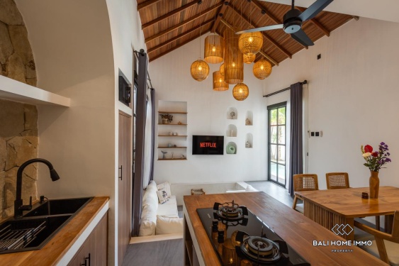 Image 3 from Brand New 2 Bedroom Villa for Rent in Bali Pererenan Tumbak Bayuh