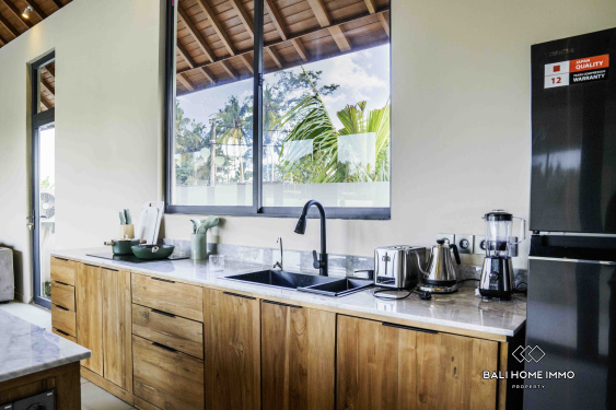 Image 12 from Brand new 2 Bedroom Villa for rent in Bali Ubud