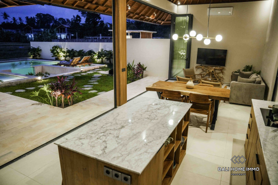 Image 6 from Brand new 2 Bedroom Villa for rent in Bali Ubud