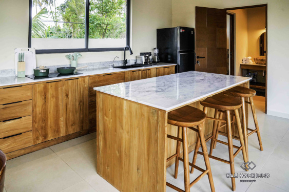 Image 10 from Brand new 2 Bedroom Villa for rent in Bali Ubud