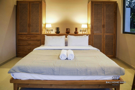 Image 14 from Brand new 2 Bedroom Villa for rent in Bali Ubud