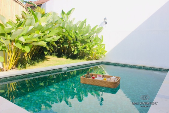 Image 1 from Brand New 2  Bedroom Villa for Rent in Canggu Padonan