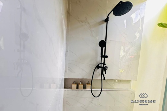 Image 8 from Disewakan Vila 2 Kamar Baru di Padonan Canggu