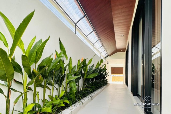 Image 2 from Brand New 2  Bedroom Villa for Rent in Canggu Padonan