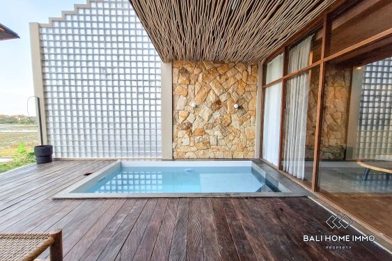 Image 16 from Vila 2 Kamar Baru untuk Disewa di Buduk Bali