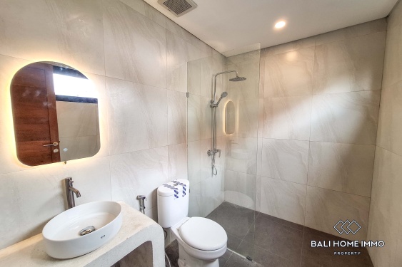 Image 10 from Villa Baru dengan 2 Kamar untuk Disewa di Kawasan Perumahan Canggu