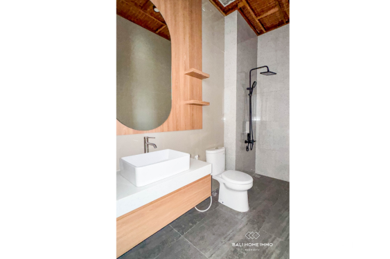 Image 8 from Brand New 2-Bedroom Villa for Rent in North Canggu Bali
