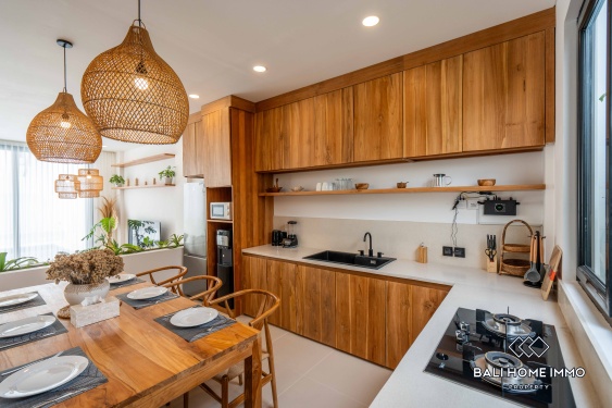 Image 7 from Brand New 2 Bedroom Villa for Rent in Pererenan Northside