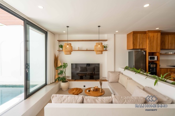 Image 6 from Brand New 2 Bedroom Villa for Rent in Pererenan Northside