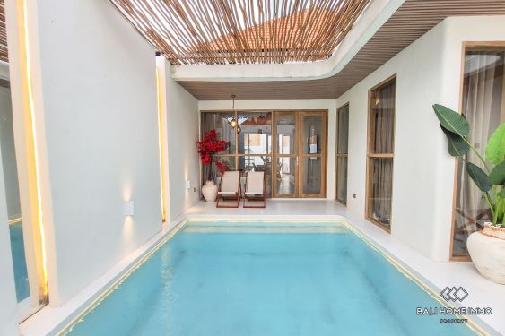 Image 2 from Brand New 2 Bedroom Villa for Rent in Seminyak Residential side