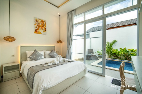 Image 6 from Brand New 2 Bedroom Villa for Rent in Ubud