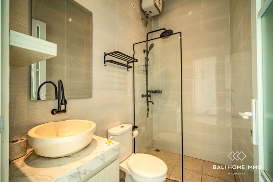 Image 10 from Brand New 2 Bedroom Villa for Rent in Ubud