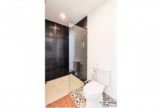 Image 18 from Villa neuve de 2 chambres à louer à Bali Canggu côté résidentiel