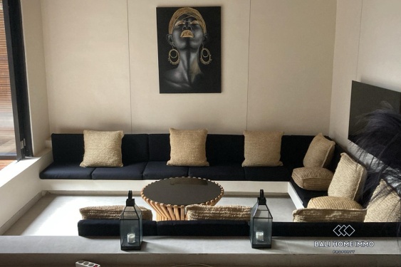 Image 4 from Brand New 2 Bedroom Villa for Sale and Rent in Bali Canggu Babakan