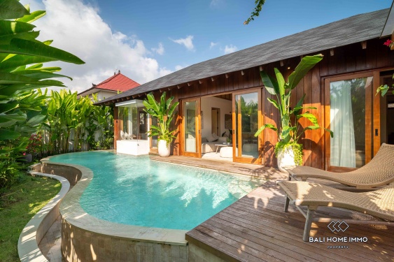 Brand new 2 Bedroom villa for sale and rent in Bali Canggu residential side