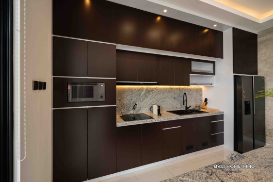 Image 11 from Brand new 2 Bedroom Villa for sale and rent in Bali Cepaka near Pererenan