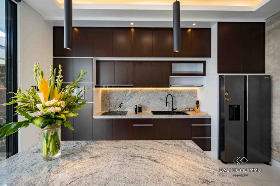 Image 9 from Brand new 2 Bedroom Villa for sale and rent in Bali Cepaka near Pererenan