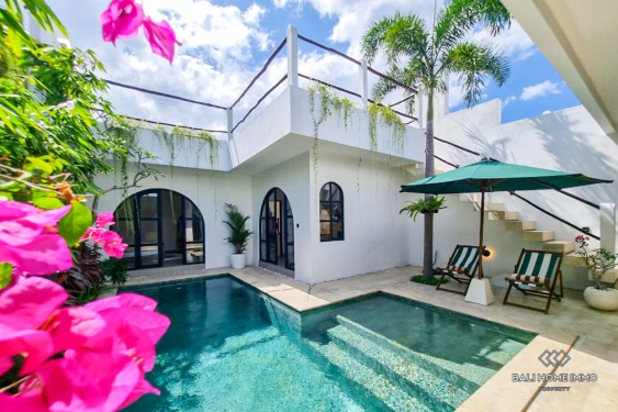 Brand New 2 Bedroom Villa for sale and rent in Bali Pererenan North Side