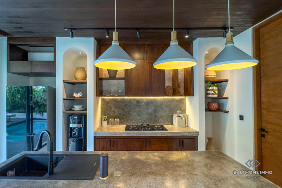 Image 11 from Villa 2 kamar baru dijual di Bali Pererenan Tumbak Bayuh