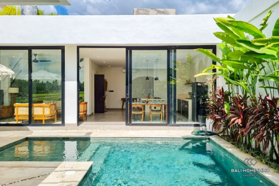 Brand New 2 Bedroom Villa for sale in Bali Pererenan North Side