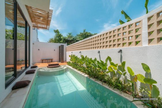 Image 19 from Modern 2 Bedroom villa for sale in Bali Tumbak Bayuh