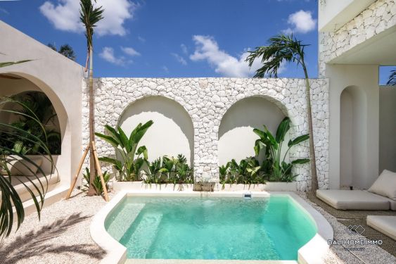 Image 18 from Brand new 2 Bedroom villa for sale in Bali Pererenan